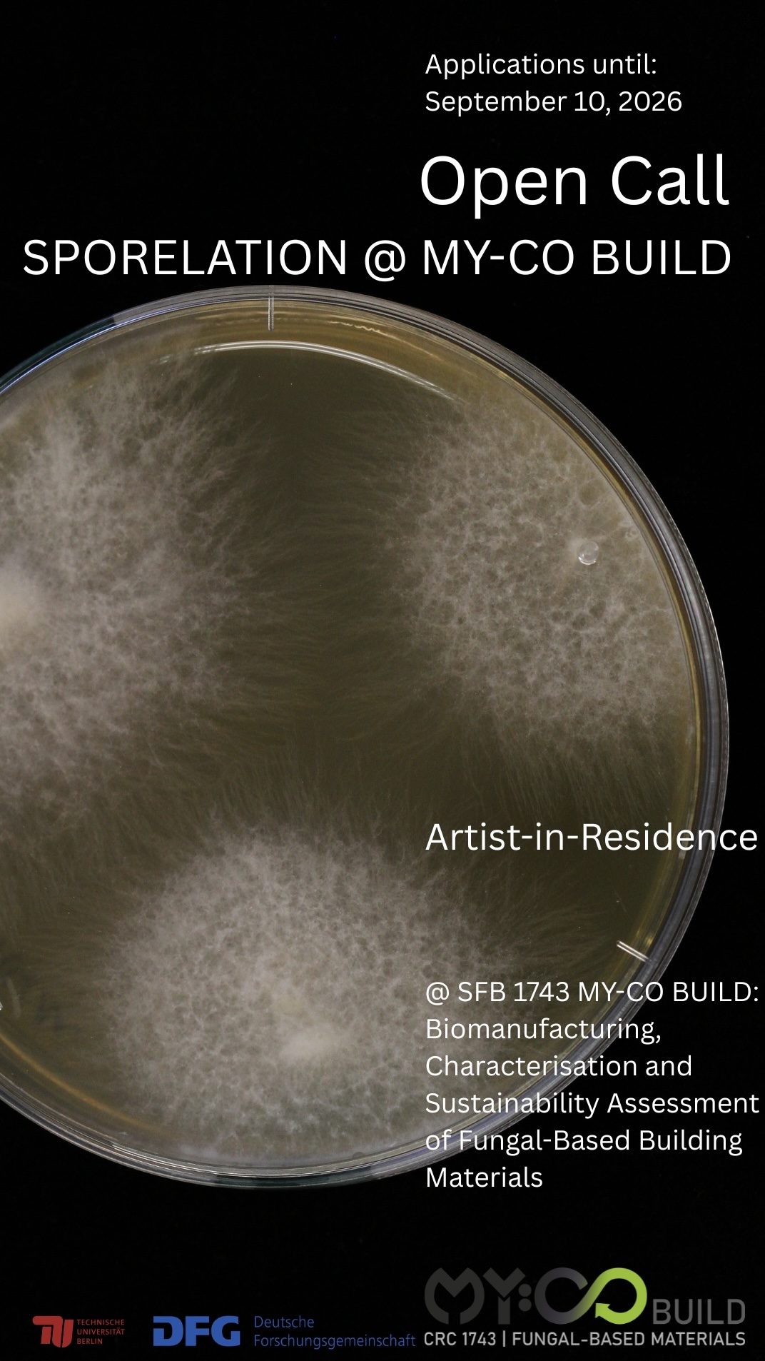 SPORELATION @ MY-CO BUILD | Artist-in-Residence Program at CRC 1743 MY-CO BUILD: Building With Fungi